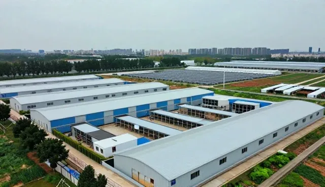 网络较为完善场景下的实施效果分析